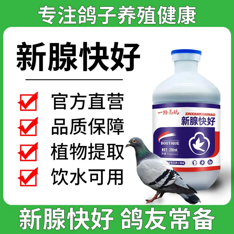 【双11】新腺快好鸽子拌料饮水营养健康纯植物提取饲料添加剂