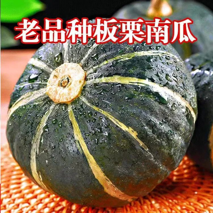 【板栗南瓜种子】高产香甜板栗南瓜春秋四季蔬菜苗小南瓜种籽