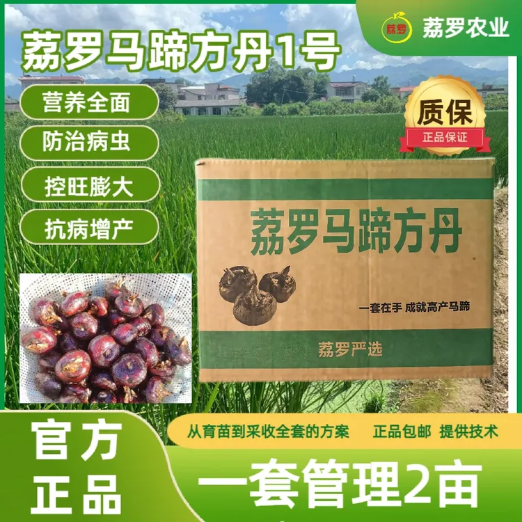 荔罗马蹄方丹1号一套管2亩促马蹄下带膨大控旺病虫害
