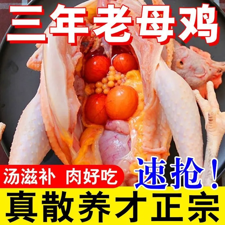 两年农家粮食喂养现杀黄油老母鸡土鸡炖鸡汤鸡腿农家散养土鸡