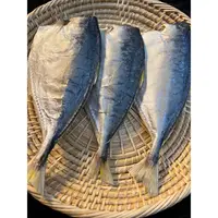 台山 广海虾池鱼干 开肚无头咸鱼干