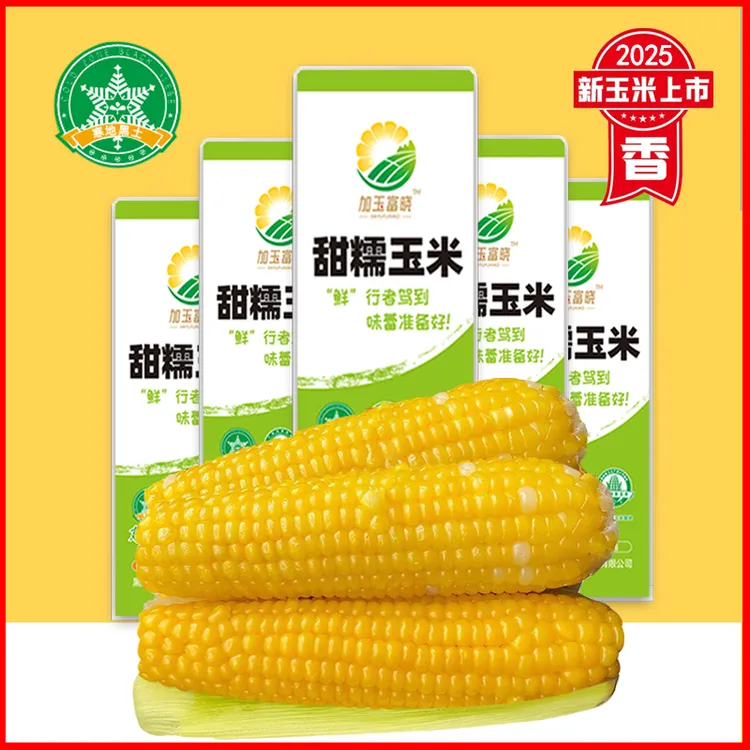 【可试吃2根】东北大棒黄糯玉米单支280-350克香糯粘铝箔包装10支