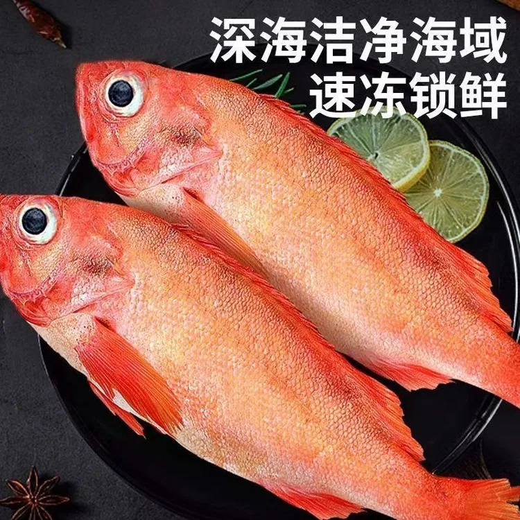 红鱼红石斑鱼大连发货净重5斤