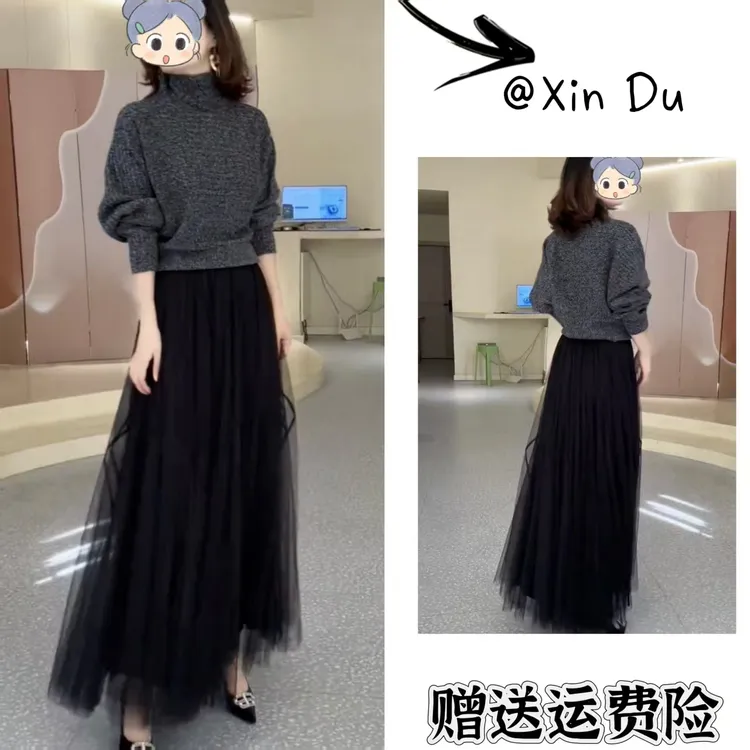 2025秋冬季新款时尚显瘦气质女士网红洋气两件套百搭款D24035