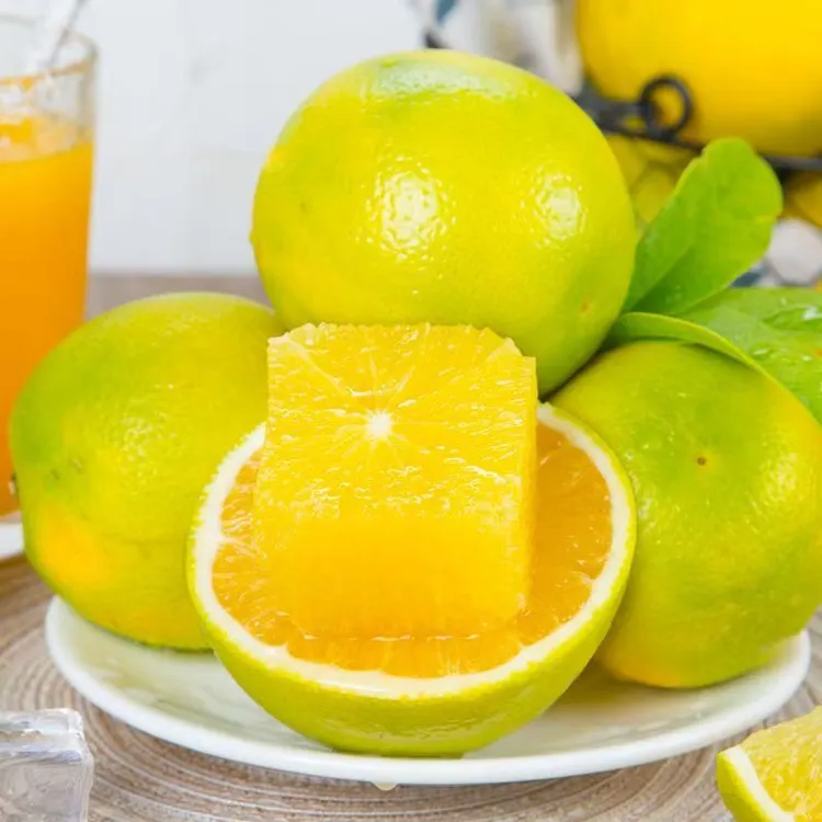 云南哀牢山青皮冰糖橙新鲜当季水果皮薄多汁香甜可口