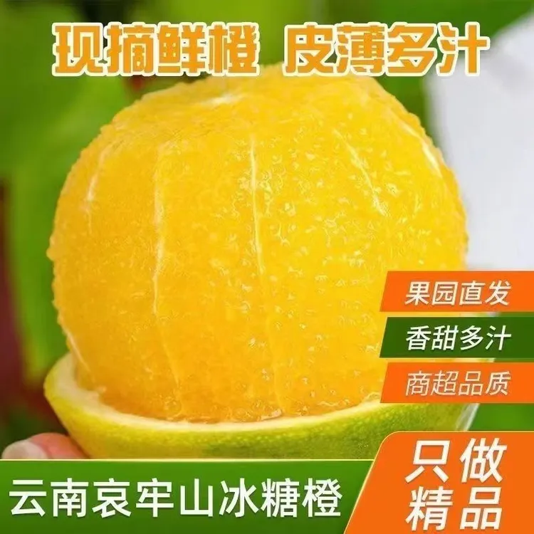 【全国包邮】云南哀牢山冰糖橙当季鲜果现摘现发冰糖橙新鲜现摘现发
