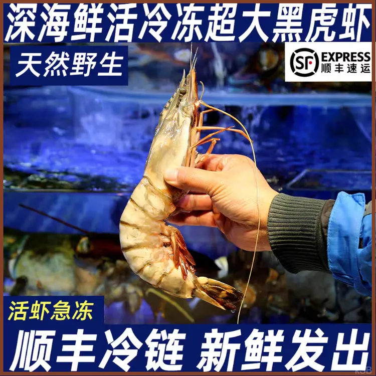 活冻黑虎虾大虎虾鲜活速冻九节虾海鲜水产深海捕捞特大海鲜水产品