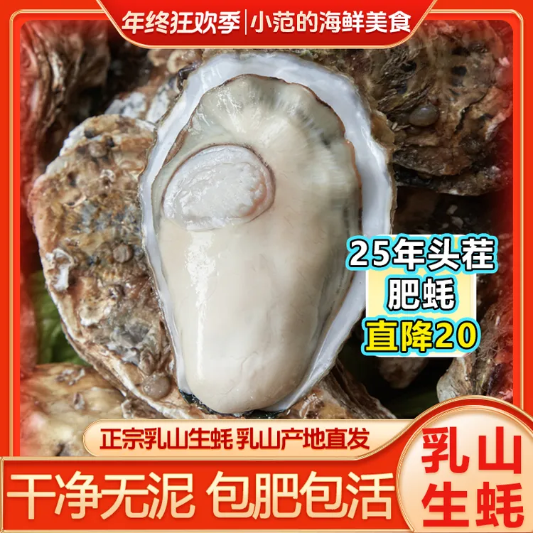 【小范海鲜】 乳山生蚝牡蛎 源产地现捞直发 鲜活到家 5斤/8斤装