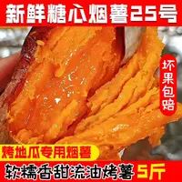 5斤装 山东烟薯25现挖现发新鲜糖心蜜薯软糯香甜口感似烤地瓜