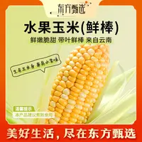 东方甄选自营水果玉米（鲜棒）早餐粗粮当季新鲜蔬菜时令生鲜整箱