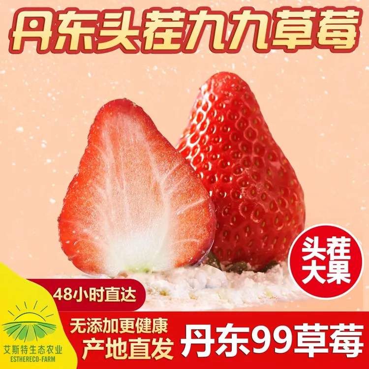 【润景艾斯特】正宗头茬丹东红颜99牛奶草莓1.8-2.8斤产地直发空运