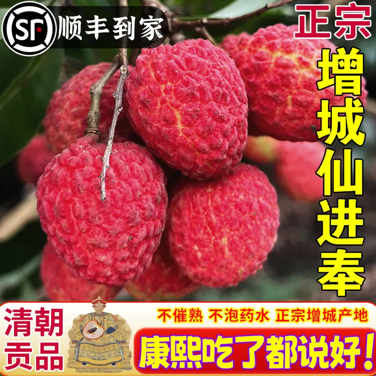 顺丰空运广东增城仙进奉荔枝正宗整箱礼盒空运新鲜应季水果香甜