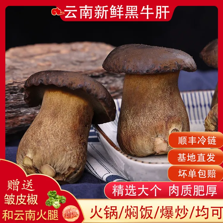 【顺丰包邮】牛肝菌新鲜黑牛肝菌云南特产菌菇炒菜煲汤火锅焖饭食材