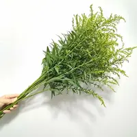 【黄莺草】云南鲜花基地直发 任意鲜花两单送配草 三单送花瓶
