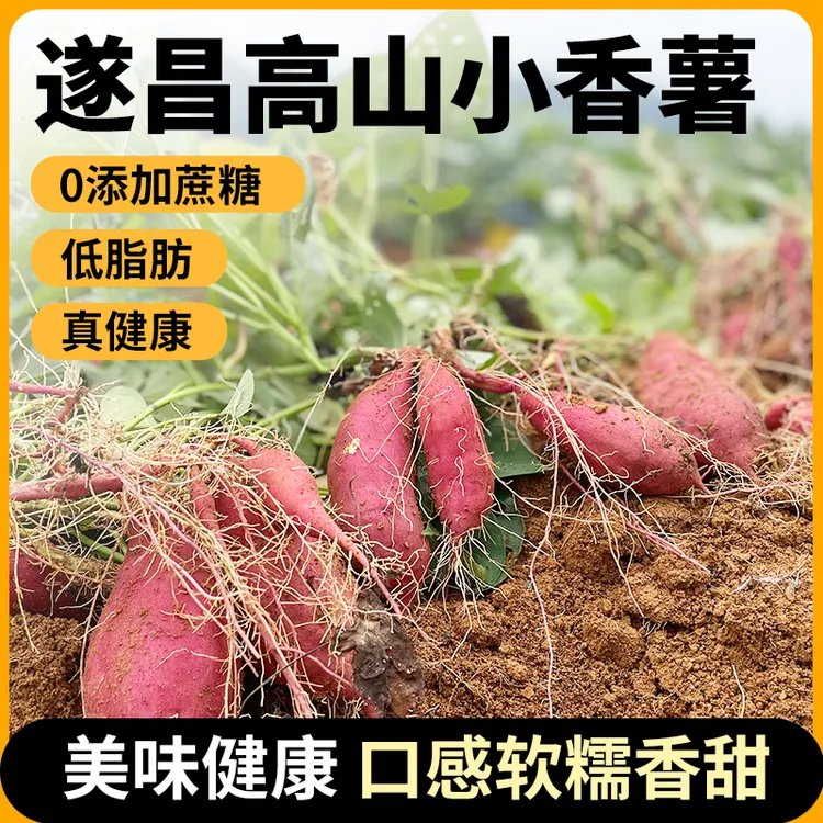 【蔡相翠谷】高山小香薯遂昌农家种植香薯新鲜现挖软糯香甜新鲜番薯