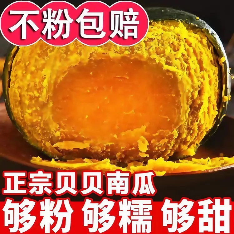 「精选」贝贝南瓜粉糯香甜板栗味新鲜现摘可作宝宝辅食贝贝南瓜宁夏