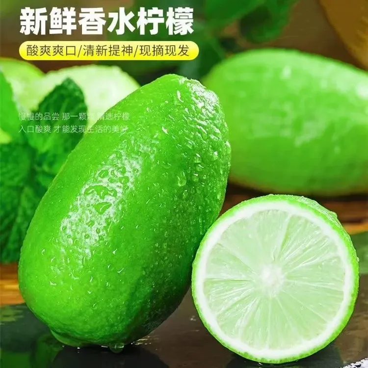 青柠檬广东香水柠檬鲜果产地直发柠檬茶奶茶店同款爆香型柠檬