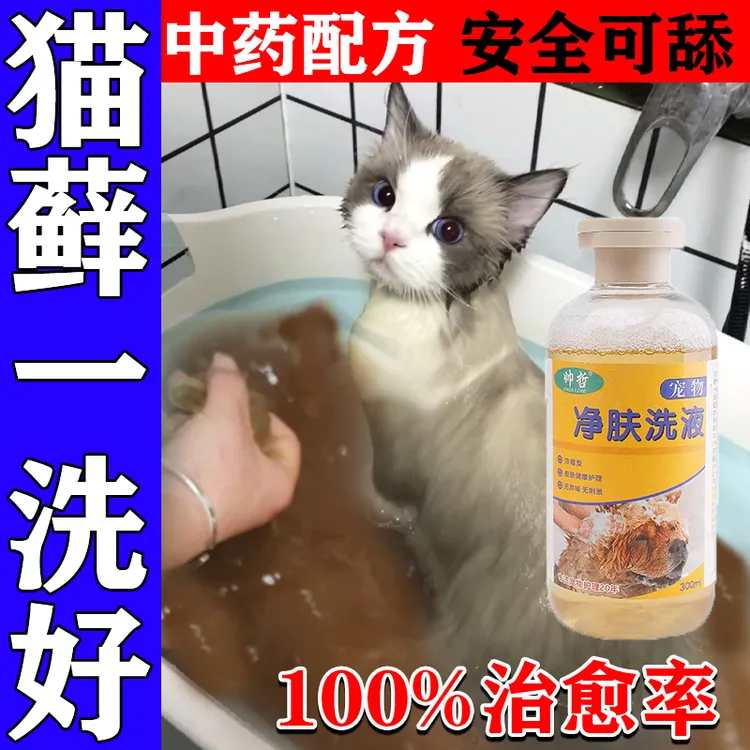 猫藓沐浴液猫癣专用猫咪真菌感染螨虫幼猫藓皮肤溃烂护理精华