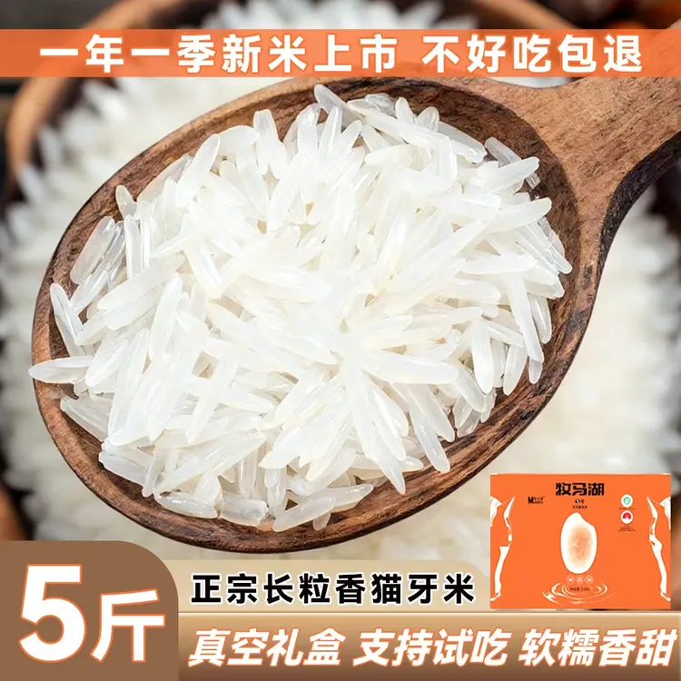 牧马湖新米天马香贡米5斤（支持试吃）长粒香猫牙米丝苗米营养大米