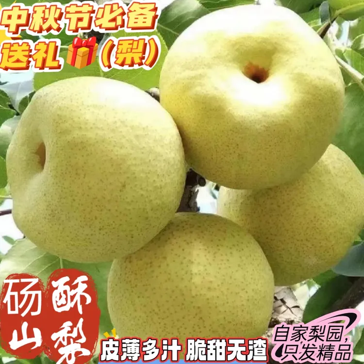 【顺丰包邮】正宗砀山酥梨皮薄多汁脆甜无渣原产地直发应季新鲜水果