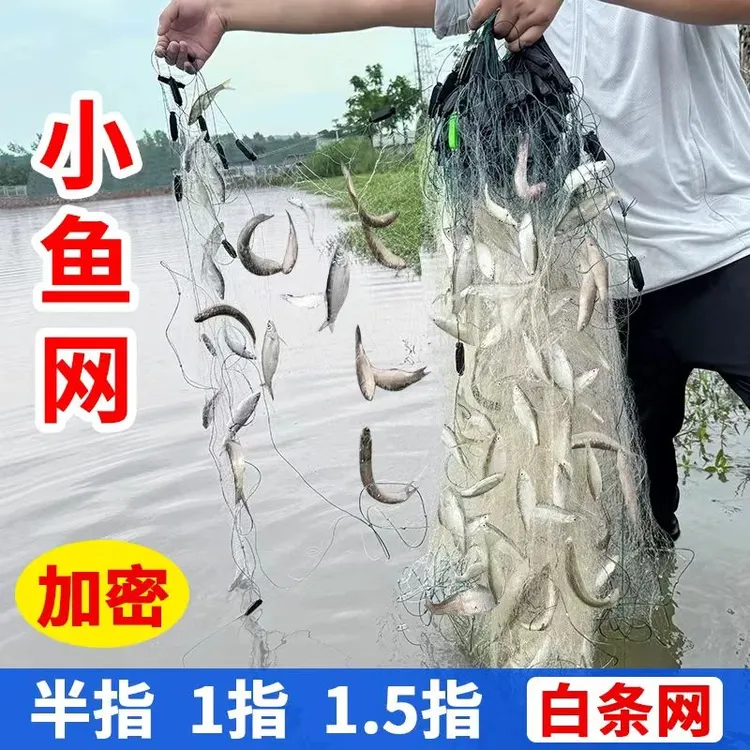 单层三层白条餐条专用小鱼网捕鱼网沉网浮网丝网粘网柔丝细丝小网