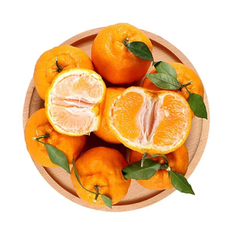 小伟果业2026年春见粑粑柑不打甜蜜素不打蜡品质保证发货