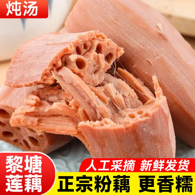 顺丰【粉藕】黎塘莲藕新鲜煲汤糯米藕1斤/3斤/5斤正宗地理标志粉藕