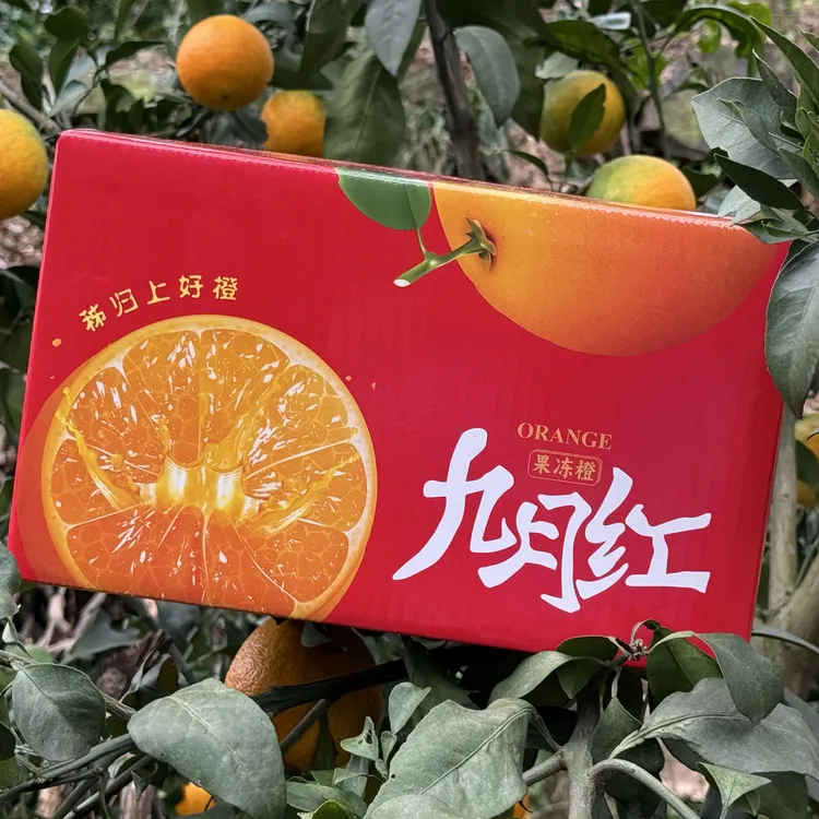 宜昌九月红秭归脐橙子整箱应当季现摘新鲜果冻橙柑橘大中水果