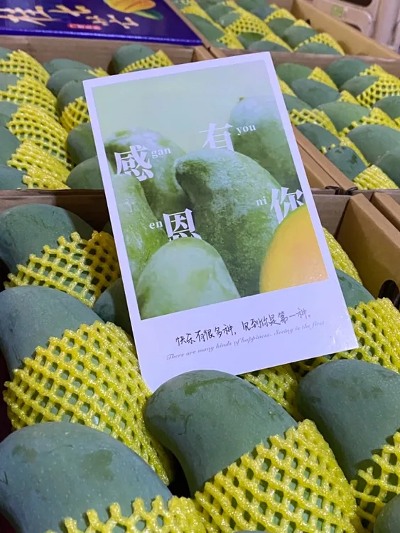 贡品桂七返场｜青皮蜜核19°甜