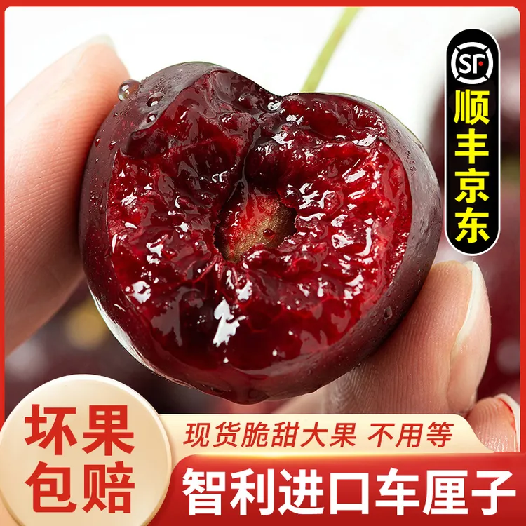 D1【顺丰京东】智利空运车厘子新鲜水果当季XL-5J0.9-5斤内附果径卡