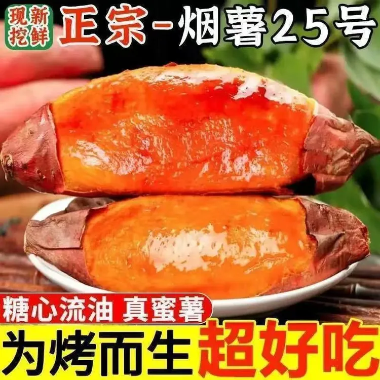 【新鲜速达】山东烟薯25号新鲜糖心蜜薯软糯香甜软可蒸煮可烤地瓜