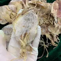 【翠凤】小鱿鱼干  日常爆炒辣椒 油煎至金黄色  煮粥 煲汤