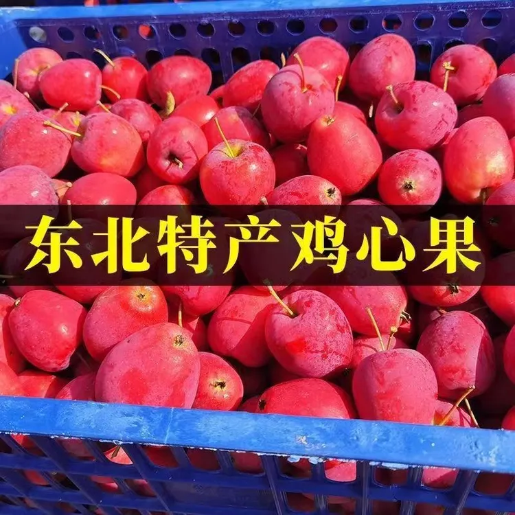 东北特产鸡心果新鲜应季脆甜可口多汁果园新鲜采摘10大果超甜