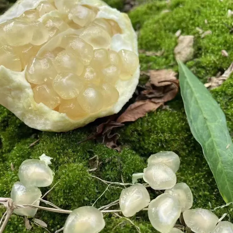 正宗怀远白花玉石籽石榴新鲜美味，水果礼盒装当季清甜