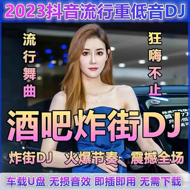 2025全视频DJ舞曲车载u盘抖音流行重低音DJ高清MV高音质优盘