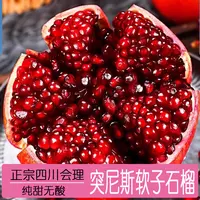 【（中果）粉丝福利专拍】会理软籽石榴新鲜采摘爆甜多汁当季【突尼斯】