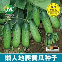 四季种植满地爬水果黄瓜种籽绿芯黄瓜种子旱黄瓜四季阳台蔬菜种子