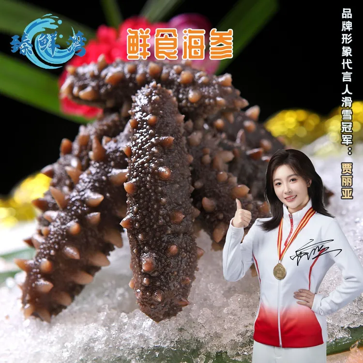 【臻鲜湾】鲜食辽参加热即食海参无冰蒸鲜非淡干海参