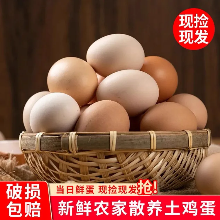 新鲜现捡正宗湖南散养农家土鸡蛋顺丰包邮