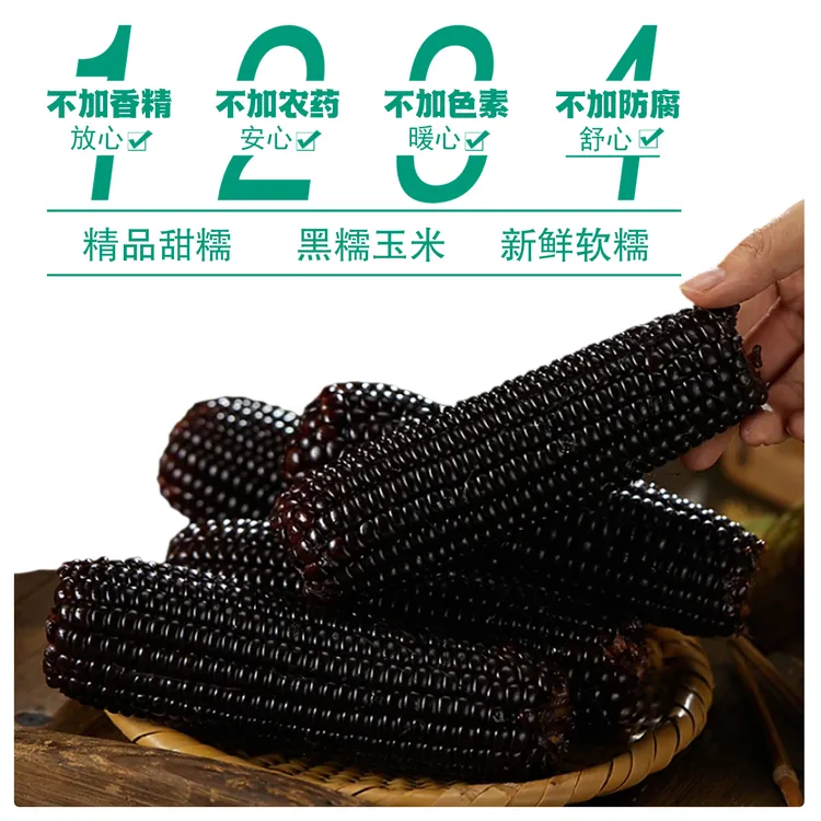 【试吃3根】25年头茬东北黑糯玉米10根装整箱5斤