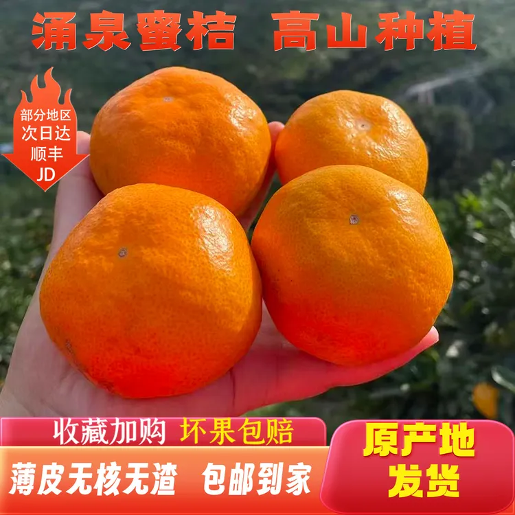 正宗涌泉蜜桔宫川台州无核蜜橘浙江临海桔子黄岩蜜橘10斤新鲜水果