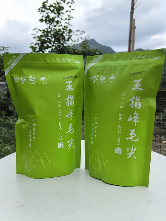 赣南五指峰高山毛尖绿茶【口粮茶】浓香耐泡 回甘浓郁绿茶办公用茶