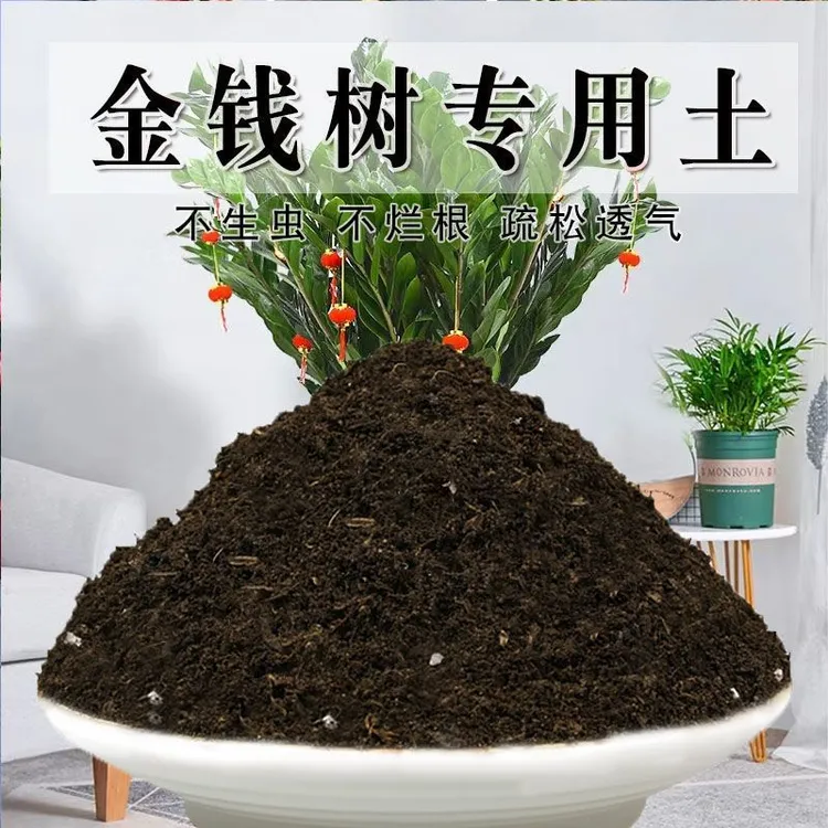 金钱树种植土壤金钱树专用营养土种花土养花土绿萝多肉盆栽土肥料