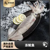 【海朴】新鲜速冻大鱿鱼整条发货1500g海捕鱿鱼海鲜水产冷链包裹