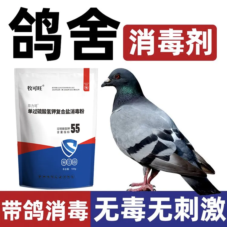 鸽子专用过硫酸氢钾鸽舍消毒除臭鹦鹉鸽子养殖场带鸽消毒清洁用品