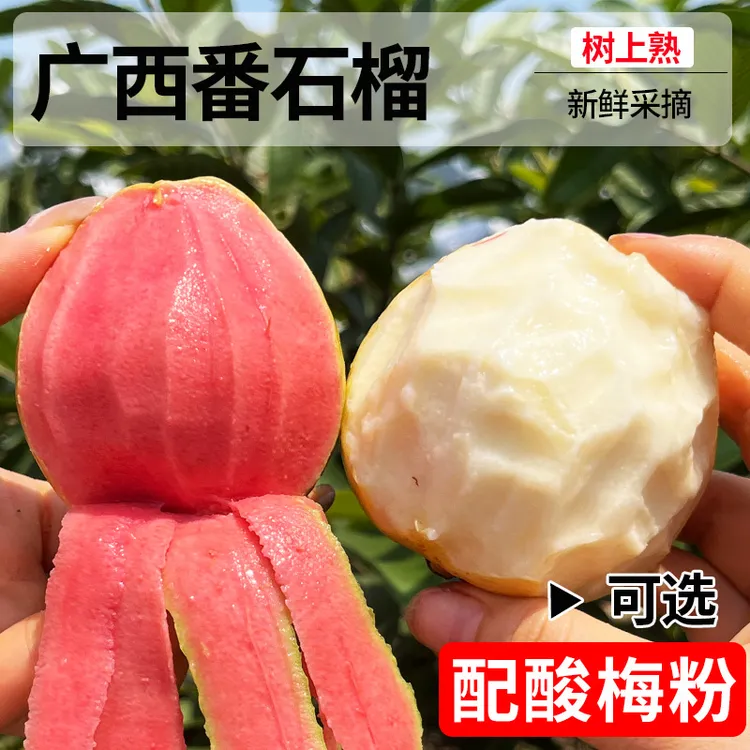广西软糯红白心芭乐3斤/5斤红心番石榴芭乐树上熟新鲜水果普邮dr