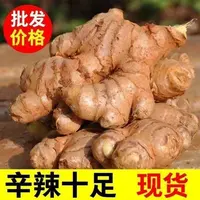 精选水洗风干老姜姜香浓郁辛辣味十足
