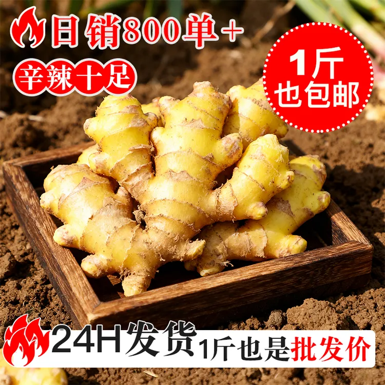 2025云南小黄姜正宗生姜老姜批发精品产地月子姜苗云南新鲜山地生