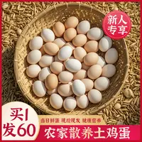 新人专享60枚新鲜谷物土鸡蛋单枚45g左右农家散养现捡现发d25