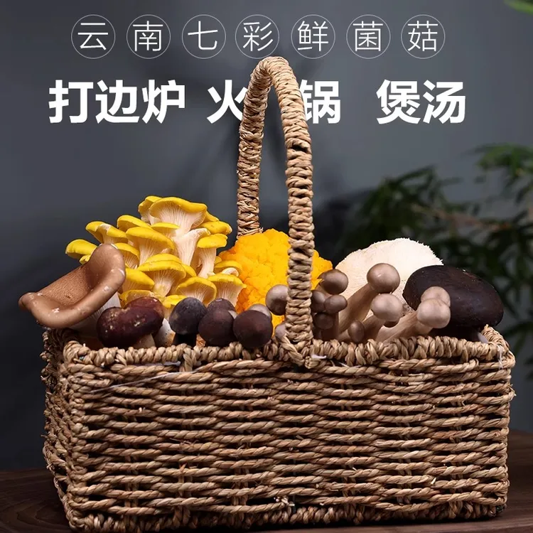 组合煲汤打边炉菌火锅炖汤鲜蘑菇野生菌牛肝菌空运云南新鲜菌菇